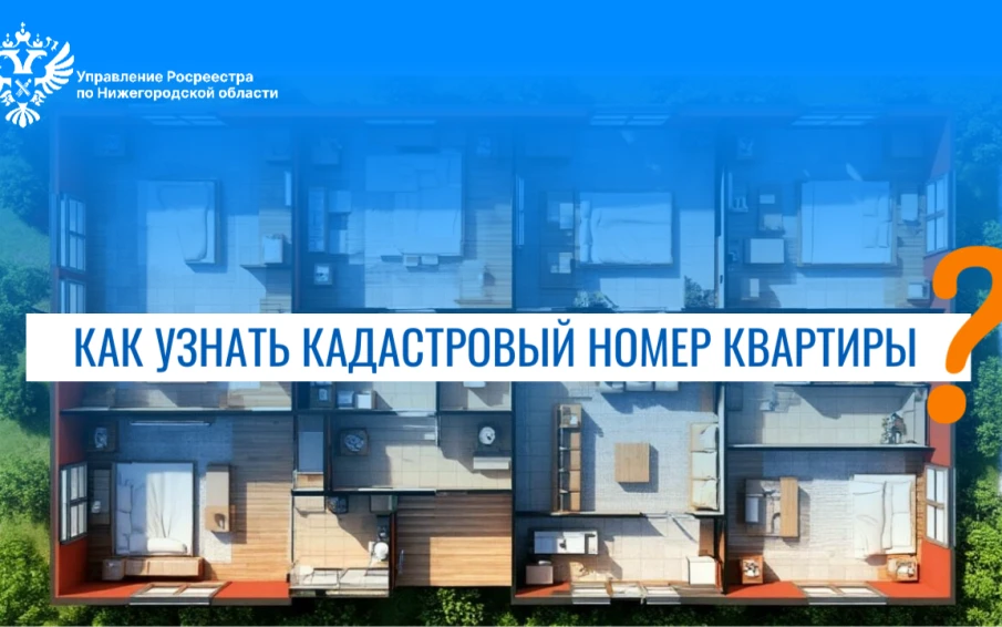 Нижегородский Росреестр разъясняет: как быстро и официально узнать кадастровый номер квартиры